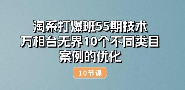 淘系打爆班55期技术：万相台无界10个不同类目案例的优化(10节)-全有网创