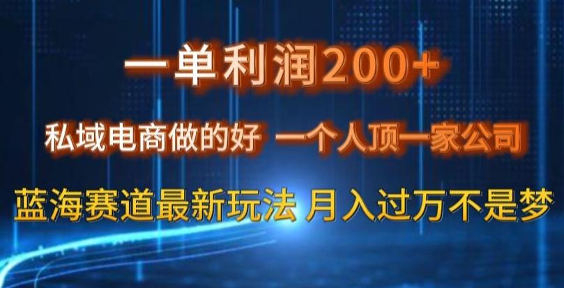 一单利润200私域电商做的好，一个人顶一家公司蓝海赛道最新玩法【揭秘】-全有网创
