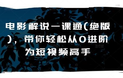 电影解说一课通(绝版)，带你轻松从0进阶为短视频高手-全有网创