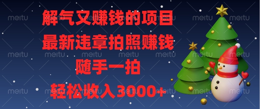 解气又赚钱的项目，最新违章拍照赚钱，随手一拍，轻松收入3000+-全有网创