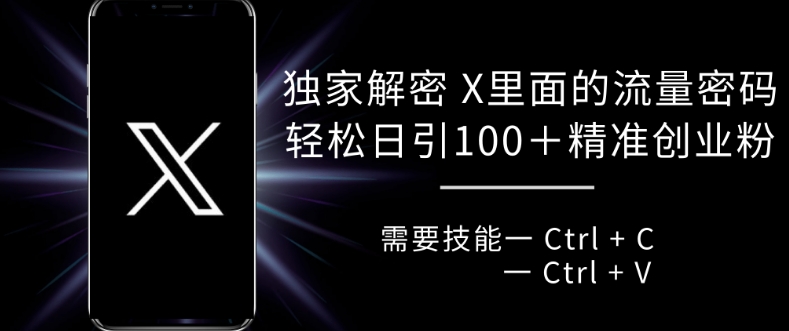 独家解密 X 里面的流量密码，复制粘贴轻松日引100+-全有网创