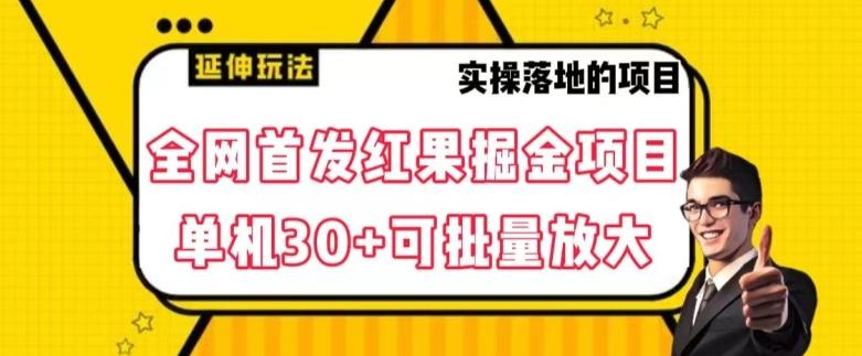 全网首发红果免费短剧掘金项目，单机30+可批量放大【揭秘】-全有网创