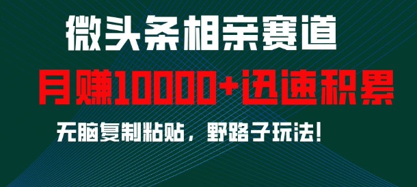 微头条相亲赛道，迅速积累，无脑复制粘贴，野路子玩法，月入1w-全有网创