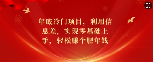 年底冷门项目，利用信息差，实现零基础上手，轻松赚个肥年钱【揭秘】-全有网创