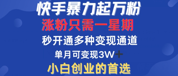 快手暴力起万粉，涨粉只需一星期，多种变现模式，直接秒开万合，单月变现过W【揭秘】-全有网创