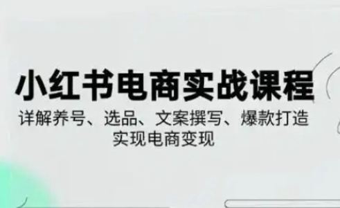 小红书从0-1实操课(2023-2025)，详解养号、选品、文案撰写、爆款打造实现电商变现-全有网创