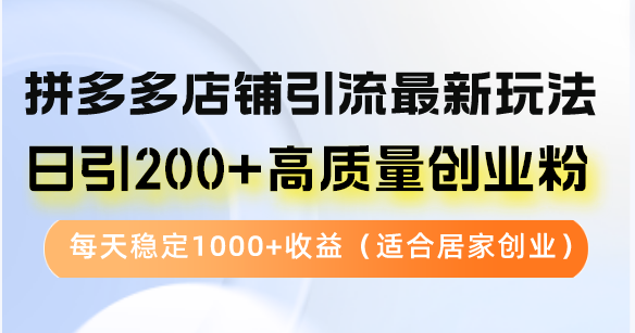 拼多多店铺引流最新玩法，日引200+高质量创业粉，每天稳定1000+收益(…-全有网创