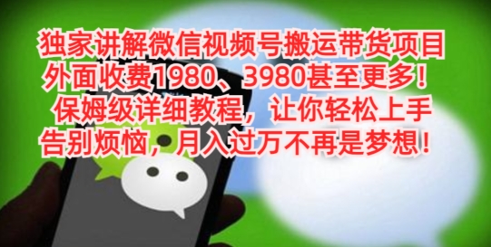 独家讲解微信视频号搬运带货项目，保姆级详细教程-全有网创