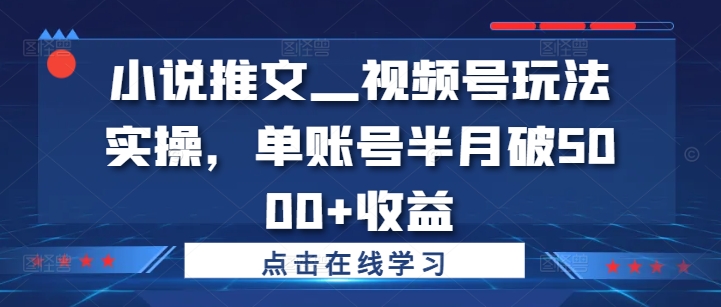 小说推文—视频号玩法实操，单账号半月破5000+收益-全有网创