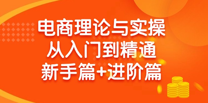 (9576期)电商理论与实操从入门到精通 新手篇+进阶篇-全有网创