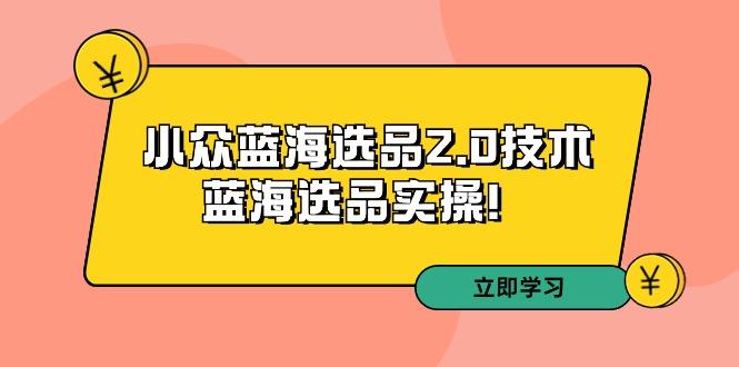 拼多多培训第33期：小众蓝海选品2.0技术-蓝海选品实操！-全有网创