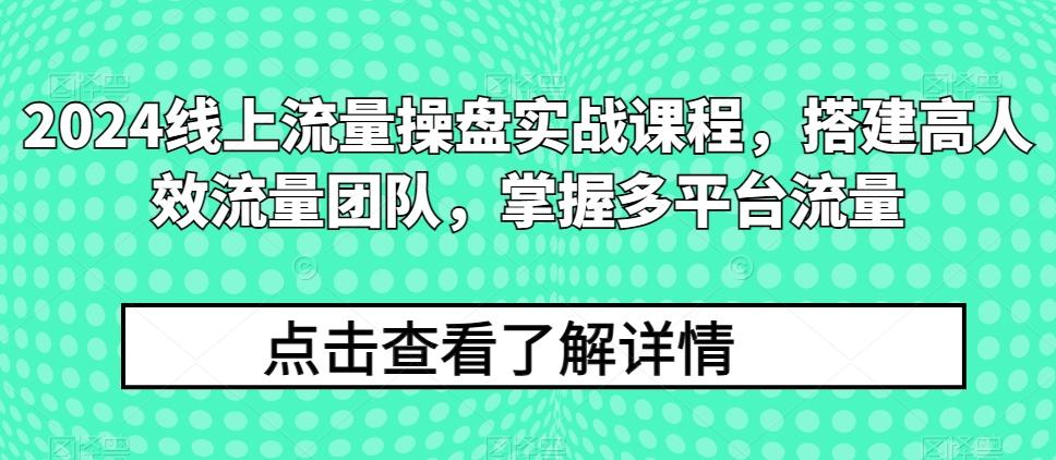 2024线上流量操盘实战课程,搭建高人效流量团队,掌握多平台流量