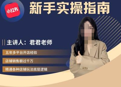 君君-小红书电商从入门到精通，新手实操指南-全有网创