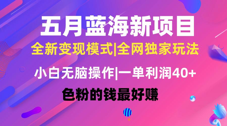 五月蓝海项目全新玩法，小白无脑操作，一天几分钟，矩阵操作，月入4万+-全有网创