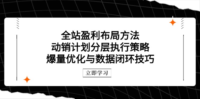 全站盈利布局方法：动销计划分层执行策略，爆量优化与数据闭环技巧-全有网创