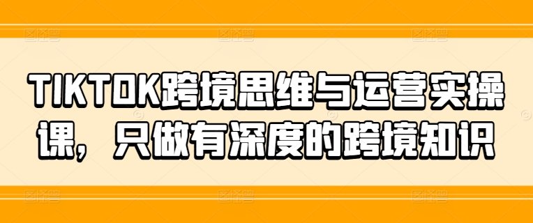 TIKTOK跨境思维与运营实操课，只做有深度的跨境知识-全有网创