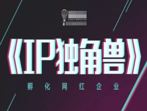 IP独角兽，孵化网红企业，ip教程-全有网创