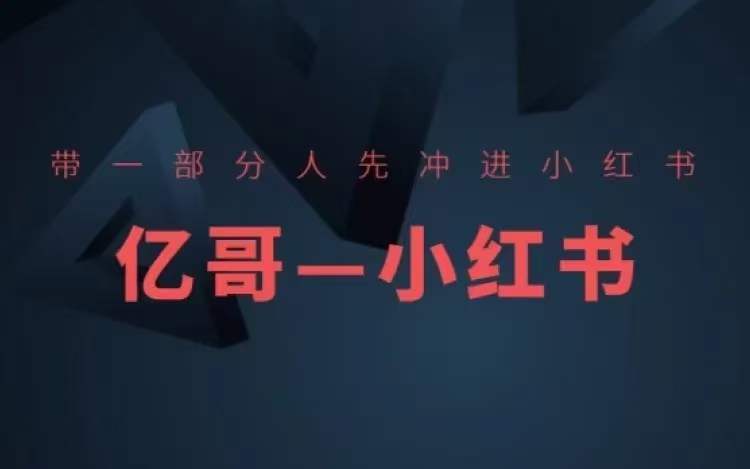 ​​带一部分人先冲进小红书，小红书开店、选品、爆款裂变-全有网创