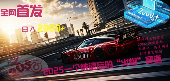 全网首发：2025一个被遗忘的“火爆”赛道轻松日入多张-全有网创