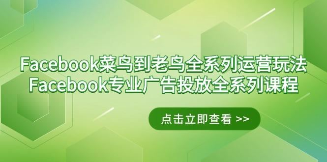 Facebook-菜鸟到老鸟全系列运营玩法+Facebook-专业广告投放全系列课程-全有网创