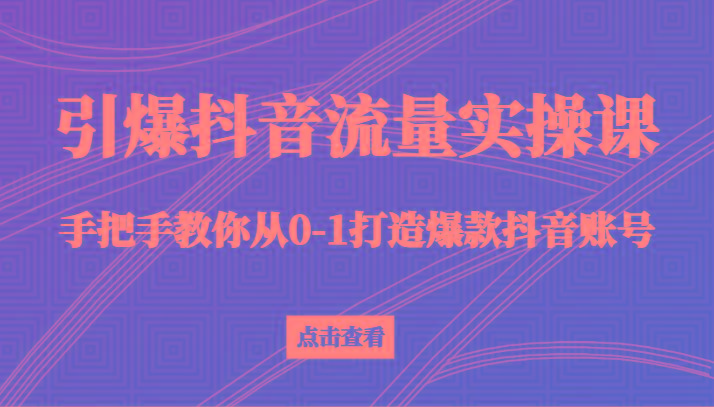 引爆抖音流量实操课，手把手教你从0-1打造爆款抖音账号(27节课)-全有网创