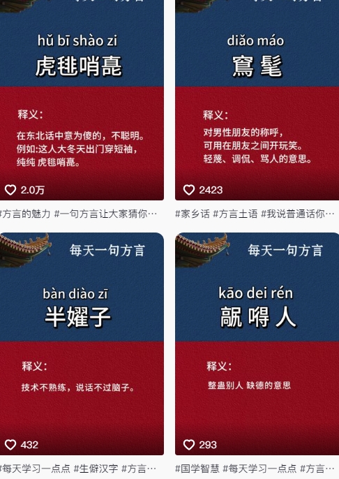 抖音最新涨粉玩法，图文方言暴力涨粉实操，126作品涨粉11W-全有网创