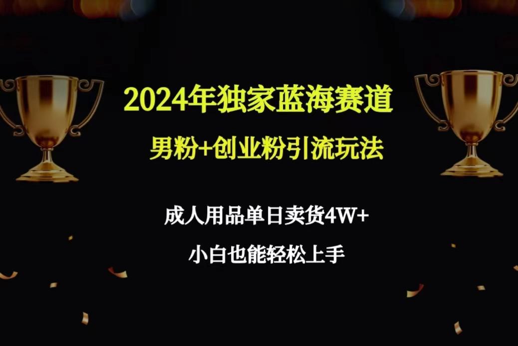 2024年独家蓝海赛道男粉+创业粉引流玩法，成人用品单日卖货4W+保姆教程-全有网创