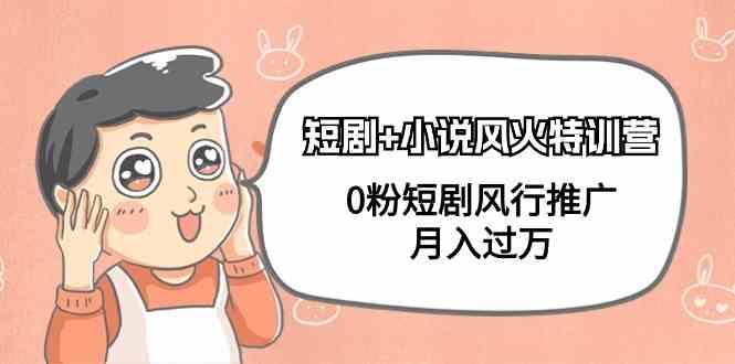 小说+短剧风火特训营，0粉短剧小说风行推广，实现月入过万-全有网创