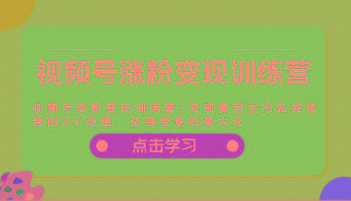 视频号涨粉变现训练营-实现微信生态私域运营的3个维度，达到变现的最大化-全有网创