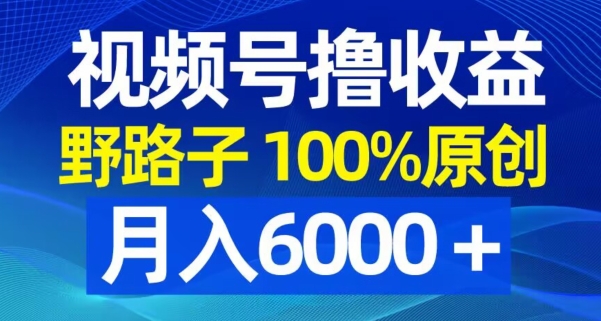 视频号野路子撸收益，100%原创，条条爆款，月入6000＋【揭秘】-全有网创