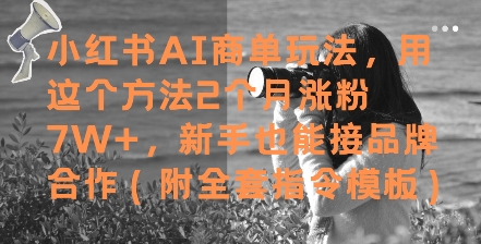 小红书AI商单玩法，用这个方法2个月涨粉7W+，新手也能接品牌合作(附全套指令模板)-全有网创