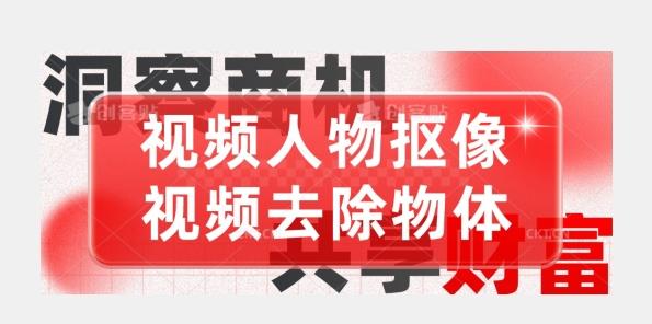 【超强视频处理工具】视频人物抠像+视频去除物体-全有网创