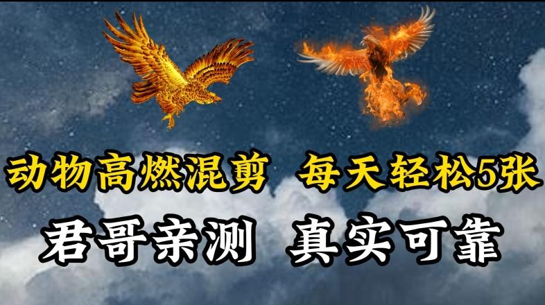 动物超燃混剪，每天轻松5张，剪辑简单大家爱看【揭秘】-全有网创