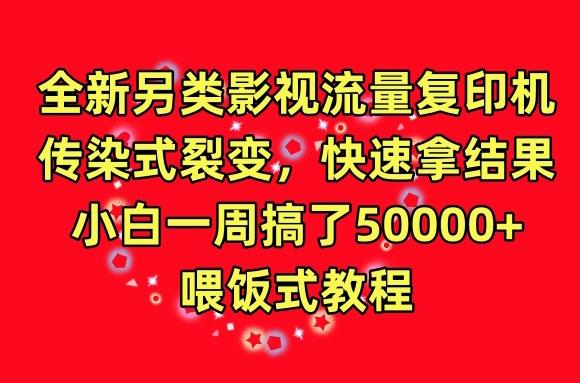 全新另类影视流量复印机，传染式裂变，快速拿结果，小白一周搞了50000+，喂饭式教程【揭秘】-全有网创