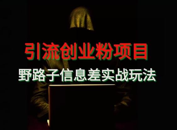 【引流创业粉】野路子信息差玩法实战教学-全有网创