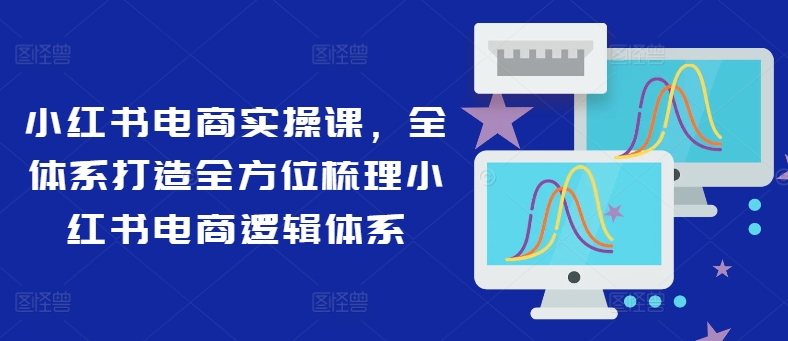 小红书电商实操课，全体系打造全方位梳理小红书电商逻辑体系-全有网创