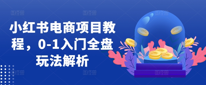 小红书电商项目教程，0-1入门全盘玩法解析-全有网创