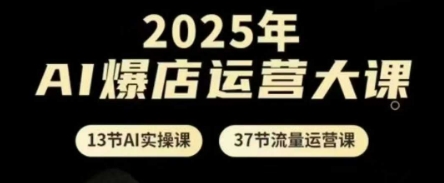 2025年AI爆店运营大课，13节AI实操课+37节流量运营课-全有网创