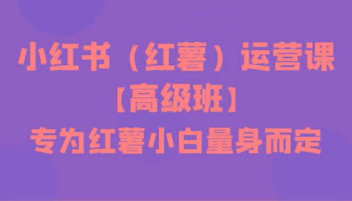 小红书(红薯)运营课【高级班】，专为红薯小白量身而定(42节课)-全有网创