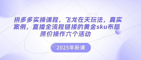 拼多多实操课程，飞龙在天玩法，真实案例，直播全流程链接的黄金sku布局原价操作六个活动-全有网创