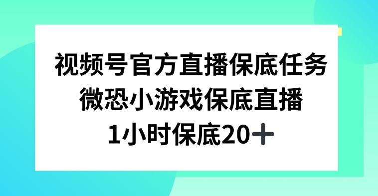 视频号直播任务，微恐小游戏，1小时20+【揭秘】-全有网创