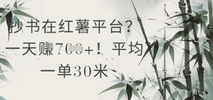 抄书在小红薯平台？平均一单30米，一天收益几张！-全有网创