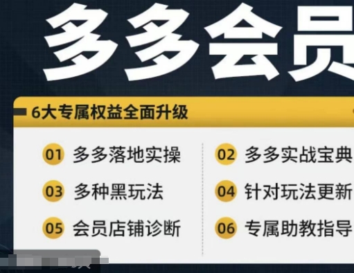 拼多多会员，拼多多实战宝典+实战落地实操，从新手到高阶内容全面覆盖-全有网创