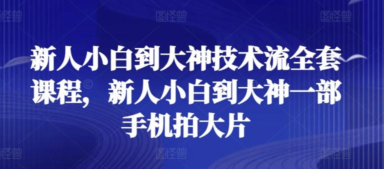 新人小白到大神技术流全套课程，新人小白到大神一部手机拍大片-全有网创