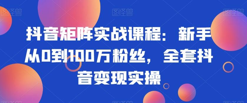 抖音矩阵实战课程：新手从0到100万粉丝，全套抖音变现实操-全有网创