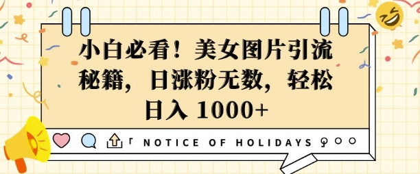 小白必看，美女图片引流秘籍，日涨粉无数，轻松日入几张【揭秘】-全有网创