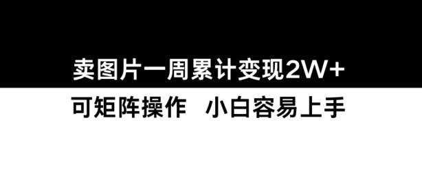 小红书【卖图片】一周累计变现2W+小白易上手-全有网创