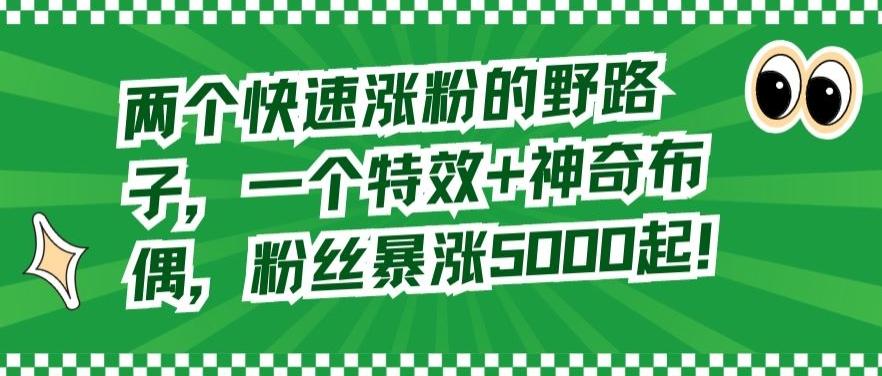 两个快速涨粉的野路子，一个特效+神奇布偶，粉丝暴涨5000起【揭秘】-全有网创