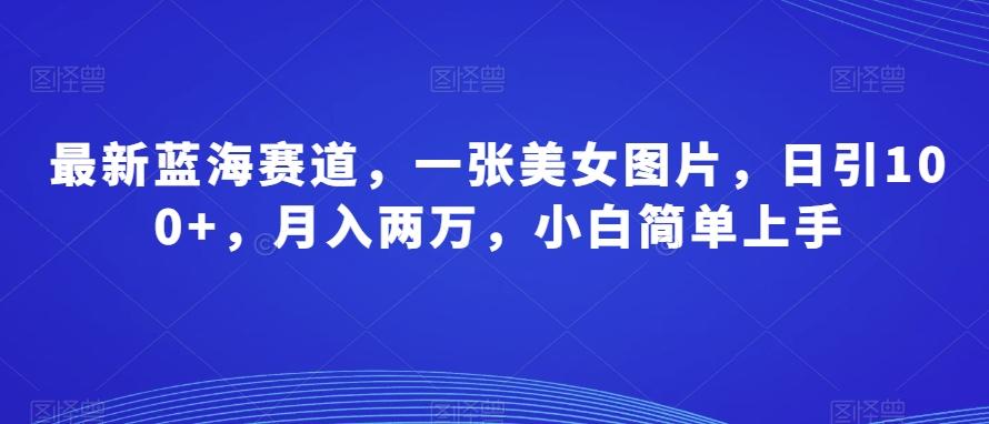 最新蓝海赛道，一张美女图片，日引100+，月入两万，小白简单上手-全有网创