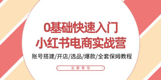 0基础快速入门-小红书电商实战营：账号搭建/开店/选品/爆款/全套保姆教程-全有网创